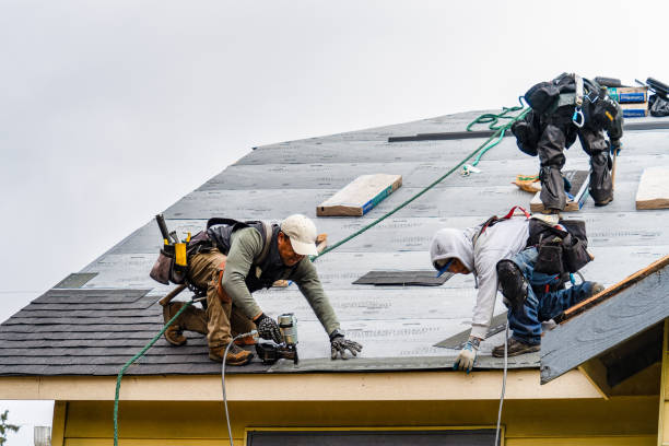 Professional Gutter Installation technician working in Stoughton, WI